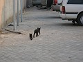 IMG_1638