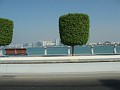 IMG_1652