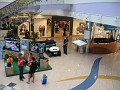 IMG_1655
