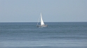 P1440131