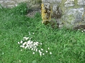 P1440174