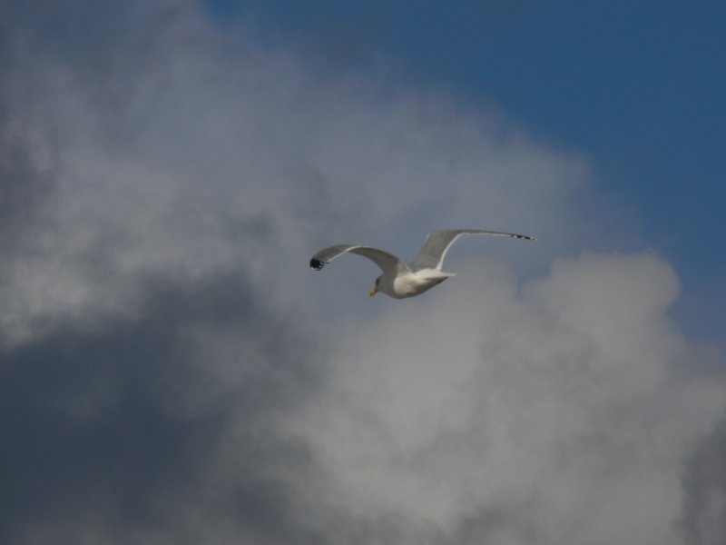 p1290043.jpg