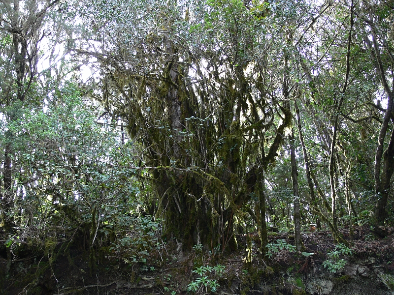 P1410273.JPG