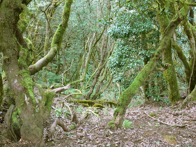 P1410276.JPG
