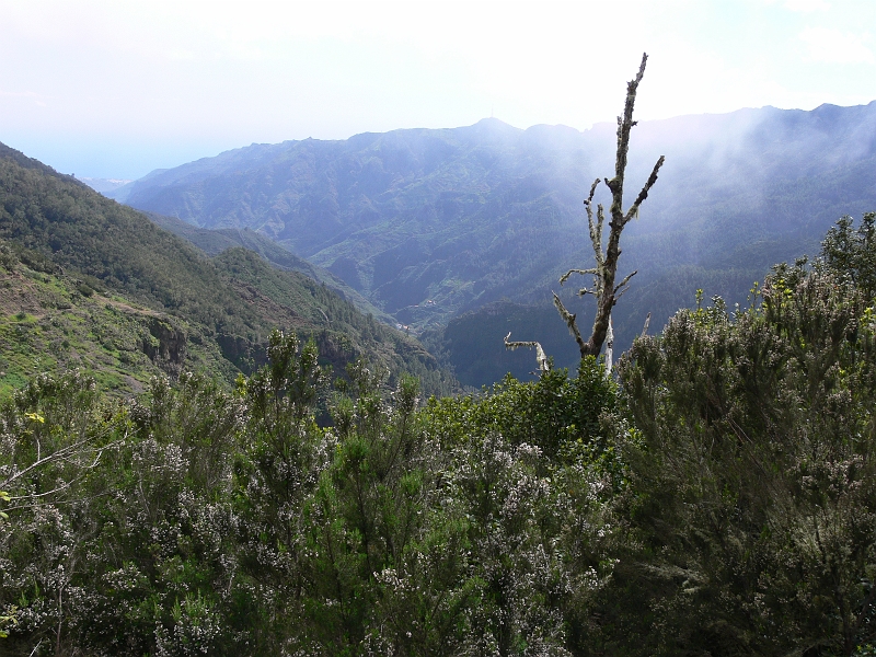 P1410285.JPG