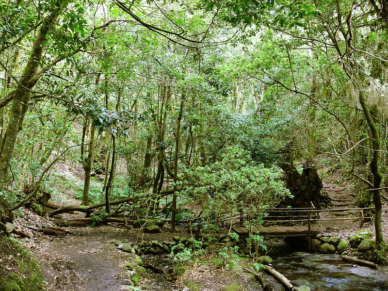 P1410314.JPG