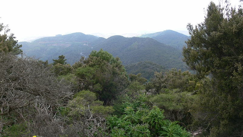 P1410331.JPG