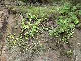 P1410271