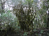 P1410273