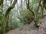 P1410274