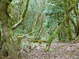 P1410276