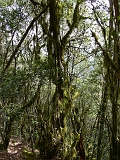 P1410279