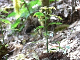 P1410280
