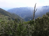 P1410285