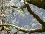 P1410288
