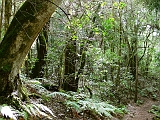 P1410302