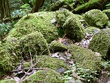 P1410317