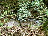 P1410318