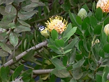 P1410325