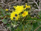 P1410329